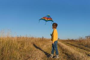 Little boy with kite flying over his head photo