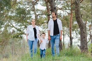 mamá, papá y hijo caminar en el verde césped. contento joven familia gasto hora juntos, corriendo afuera, Vamos en naturaleza, en vacaciones, al aire libre. el concepto de familia día festivo. foto