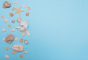 Flat lay. Top view. Frame of shells of various kinds on a blue background. Seashells and starfish on a pastel background. Vacation concept. travel concept. with copy space photo