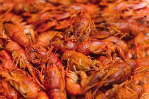 hervido cangrejo de río en un hierro lámina. hervido rojo cangrejo de río antecedentes para menú. parte superior vista, cerca arriba foto. un plato de cocido cangrejo de río. hervido cangrejo de río, un tradicional ruso plato. Clásico foto Procesando