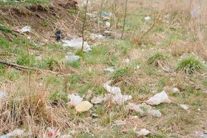 ecológico contaminación de naturaleza. el plastico bolso enredado en plantas en contra el fondo de el montañas. global ambiental contaminación. reciclaje, claro el tierra desde el plastico escombros. foto