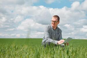 Young farmer on a wheat field. Young wheat in spring. Agriculture concept. An agronomist examines the process of ripening wheat in the field. The concept of the agricultural business. photo