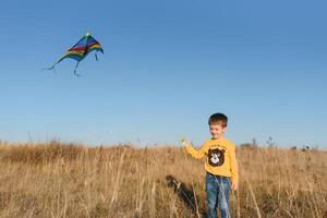 contento niño jugando con un cometa mientras corriendo en prado, atardecer, en verano día. gracioso hora con familia. pequeño chico lanzamiento un cometa. foto