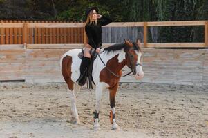 joven sexy mujer con un caballo foto