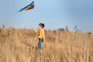 contento niño jugando con un cometa mientras corriendo en prado, atardecer, en verano día. gracioso hora con familia. pequeño chico lanzamiento un cometa. foto