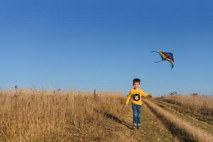 Little boy with kite flying over his head photo