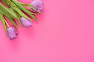floral antecedentes con tulipanes flores en rosado pastel antecedentes. plano poner, parte superior vista. mujer día antecedentes. foto