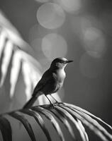 AI generated close-up photograph of a palm with a bird on top photo