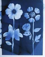 ai generado un plano escanear de un cianotipo de un flor con azul papel foto