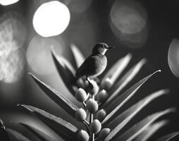 AI generated close-up photograph of a palm with a bird on top photo