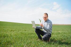 Man farmer working on a laptop in the field. Agronomist examines the green sprout winter wheat. photo
