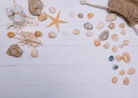 Flat lay. Top view. Frame of shells of various kinds on a white wooden background. Seashells and starfish on a pastel background. Vacation concept. travel concept. with copy space photo