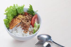 Nasi Mangkuk Daging Suwir or Shredded beef Rice Bowl photo