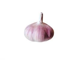 Garlic bulb on white background photo