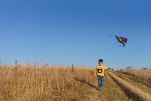 Little boy playing with kite on meadow. Childhood concept photo