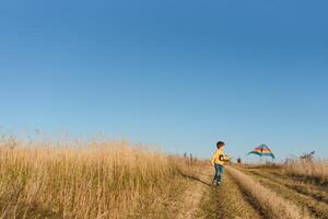 Happy child playing with a kite while running on meadow, sunset, in summer day. Funny time with family. Little boy launch a kite. photo