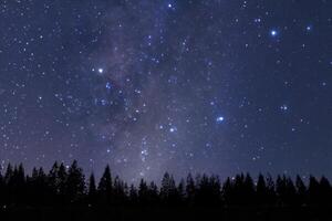 Mesmerizing Milky Way, Pine Tree Silhouette Against Dawn's Canvas. photo