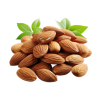 AI generated Almond, Almond Png, Almond With Transparent Background png