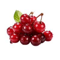 AI generated Cranberry Fruit, Cranberry Fruit Png, Cranberry Fruit With Transparent Background png