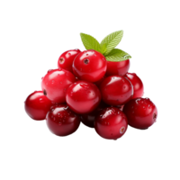 ai generiert Cranberry Frucht, Cranberry Obst png, Cranberry Obst mit transparent Hintergrund png