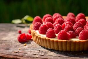 Raspberry tart with cream, powdered sugar, mint leave on green forest background photo