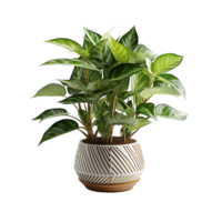 AI generated Plant Pot, Plant Pot Png, Plant Pot For Decoration png