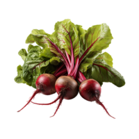 ai generiert Rote Beete , ein Rote Beete png, Rote Beete mit transparent Hintergrund png