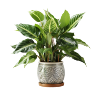 AI generated Plant Pot, Plant Pot Png, Plant Pot For Decoration png