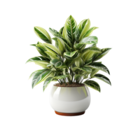 AI generated Plant Pot, Plant Pot Png, Plant Pot For Decoration png