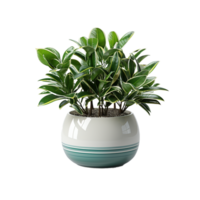 AI generated Plant Pot, Plant Pot Png, Plant Pot For Decoration png