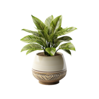 AI generated Plant Pot, Plant Pot Png, Plant Pot For Decoration png