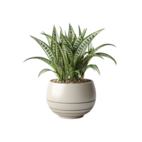 ai generado planta maceta, planta maceta png, planta maceta para decoración png