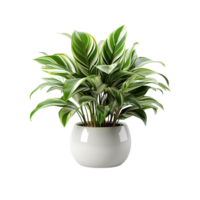 AI generated Plant Pot, Plant Pot Png, Plant Pot For Decoration png