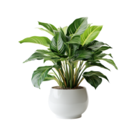 AI generated Plant Pot, Plant Pot Png, Plant Pot For Decoration png