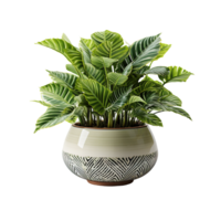 ai généré plante pot, plante pot png, plante pot pour décoration png