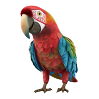 AI generated 3D Cartoon Parrot Logo Illustration No Background Perfect for Print on Demand png