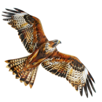 ai généré oiseau style cerf-volant Aigle style cerf-volant non Contexte png