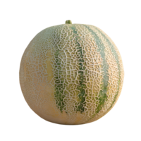 AI generated Cantaloupe Melon No Background Perfect for Print on Demand png