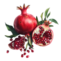 AI generated Pomegranate No Background Perfect for Print on Demand png