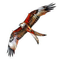 ai généré oiseau style cerf-volant Aigle style cerf-volant non Contexte png