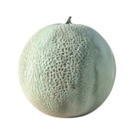 AI generated Cantaloupe Melon No Background Perfect for Print on Demand png