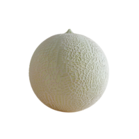 AI generated Cantaloupe Melon No Background Perfect for Print on Demand png