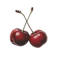 AI generated Fresh Cherry No Background Perfect for Print on Demand png