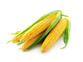 AI generated Yellow corns lying isolated on a white background. High quality. AI Generative photo