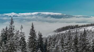 Time lapse of Clouds move over the valley in Carpathian mountains. video