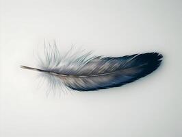 ai generado un soltero oscuro azul pluma de un pájaro aislado en un blanco antecedentes. alta resolución. ai generativo foto