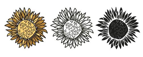 Sunflower head hand drawn elements set for design. Vector clip art, isolate on white background