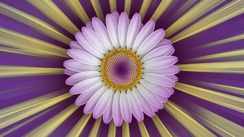 AI generated Violet daisy flower center with yellow anthers, abstract background photo