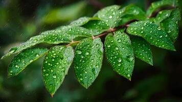 ai generado gotas de lluvia en frondoso arbusto, creando cristal antecedentes con ligero brillar foto