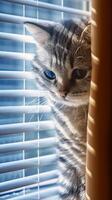 AI generated Indoor charm Little kitten plays near window blinds, a family member Vertical Mobile Wallpaper photo